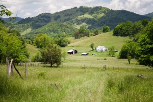Farmstead view