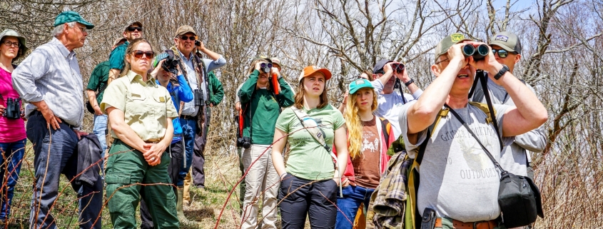 Birdwatching with Working Group members