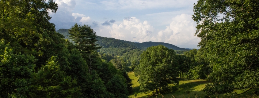 Woodlands and pasture on the farm property