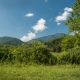 Bowditch Bottoms with Celo Mtn in background