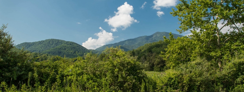 Bowditch Bottoms with Celo Mtn in background