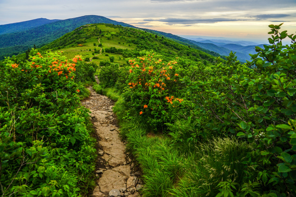 Appalachian Trail