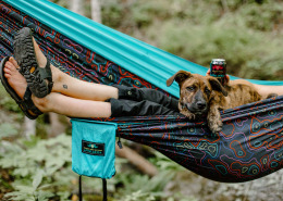 Person and dog in ENO/WIcked Weed Brewing/SAHC Appalachia hammock