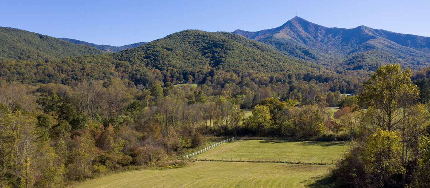 Pisgah View Ranch in foregound, Newmans forested tract in left background