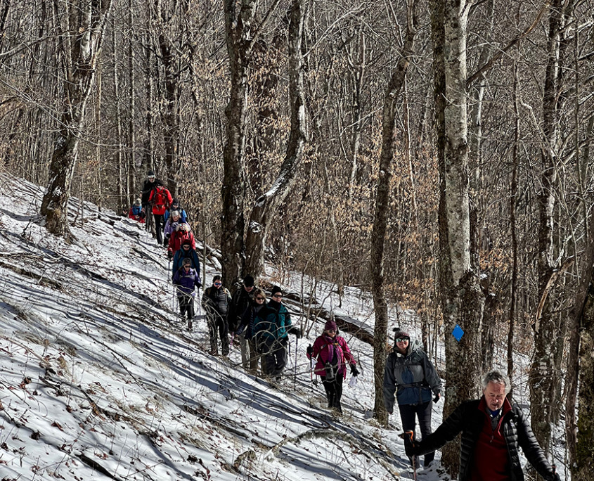 hikers single file on a snowy, forested trail incline