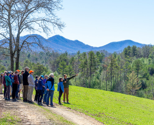 Group of hikers pointing at farm projects, surrounded by pastures, and forest and mountains in background.