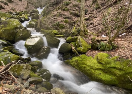 softly cascading mountain stream through autumn wooded and rocky banks