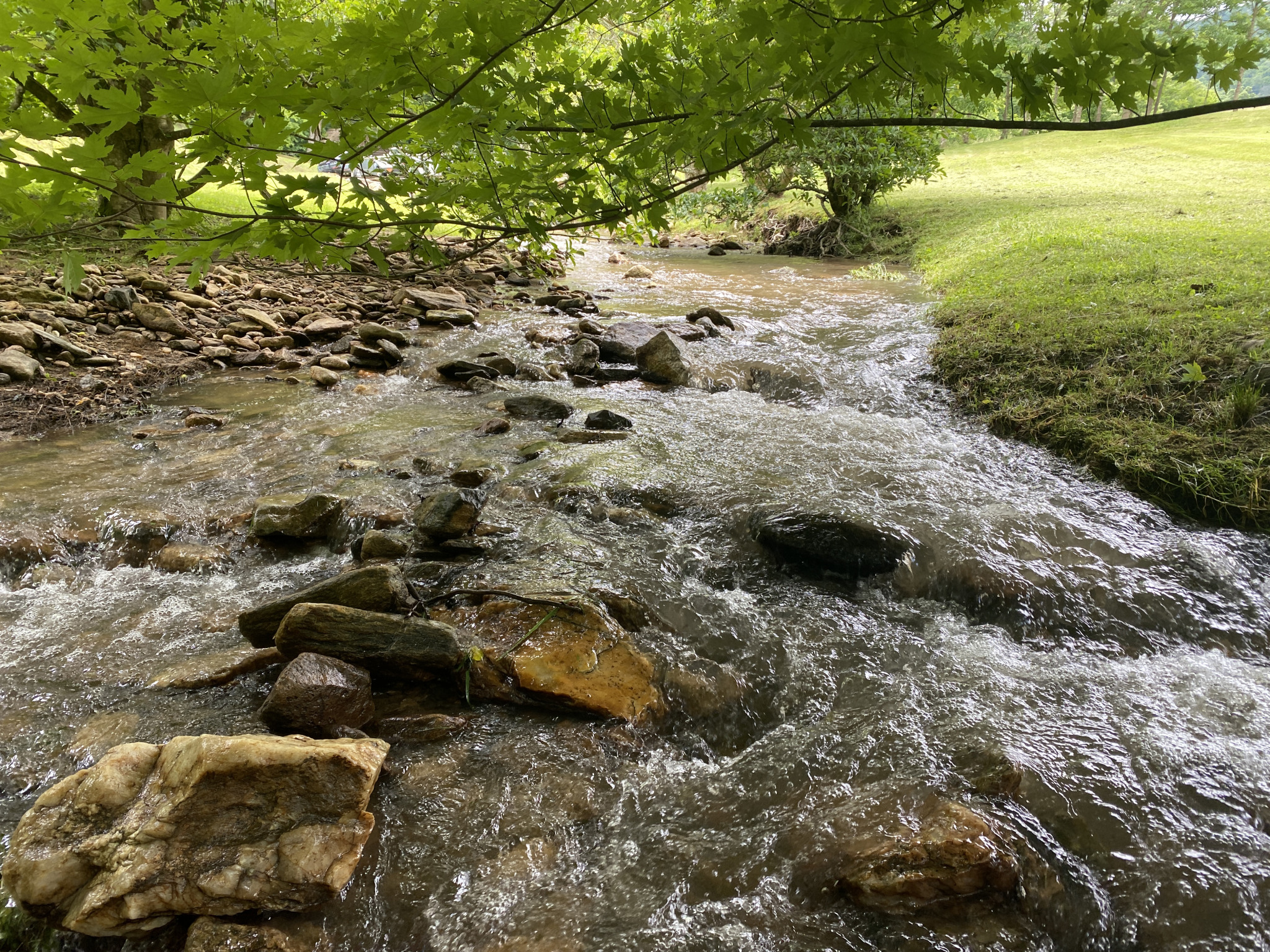 SandyMushCreek_1