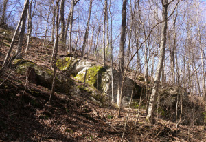 SandyMushCreek_big rock