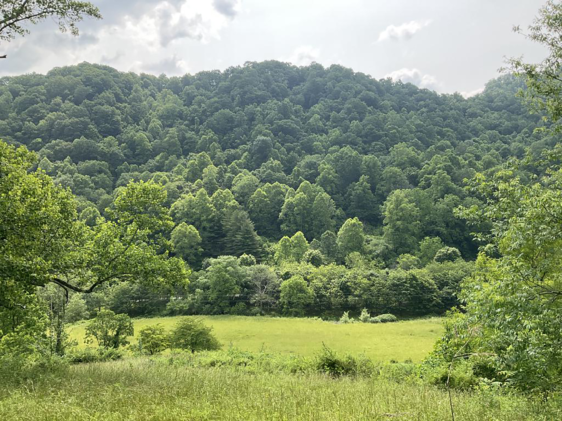 SandyMushCreek_open space
