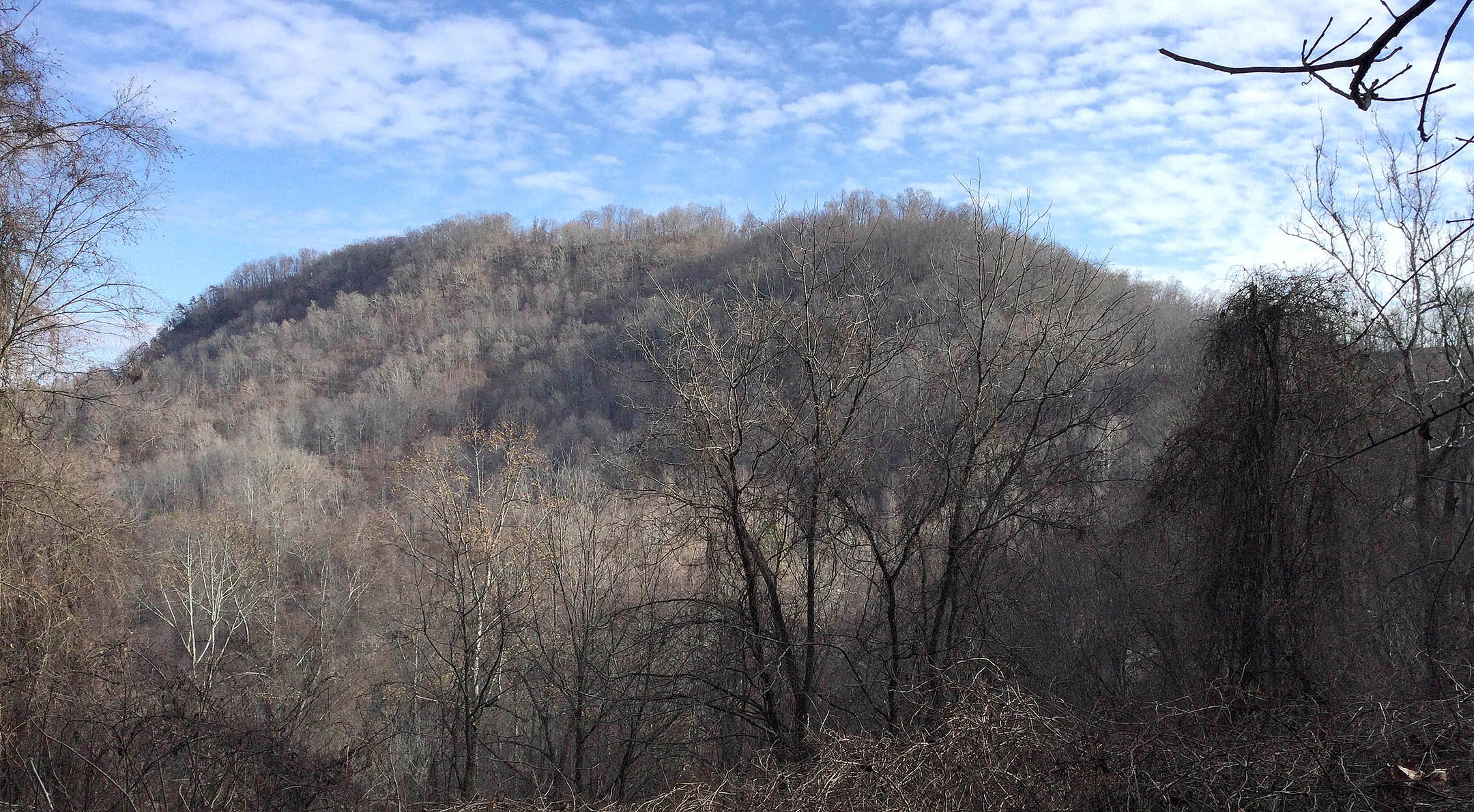 Andy’s Branch – 188 Acres