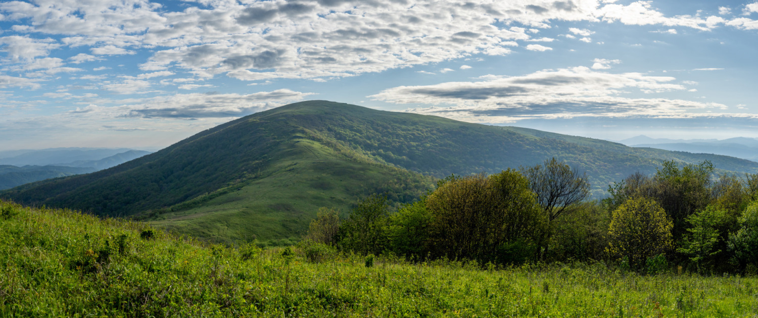 RoanHighlands_2023_TravisBordley