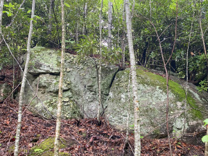 IMG_1974