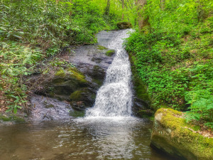 MineForkFalls