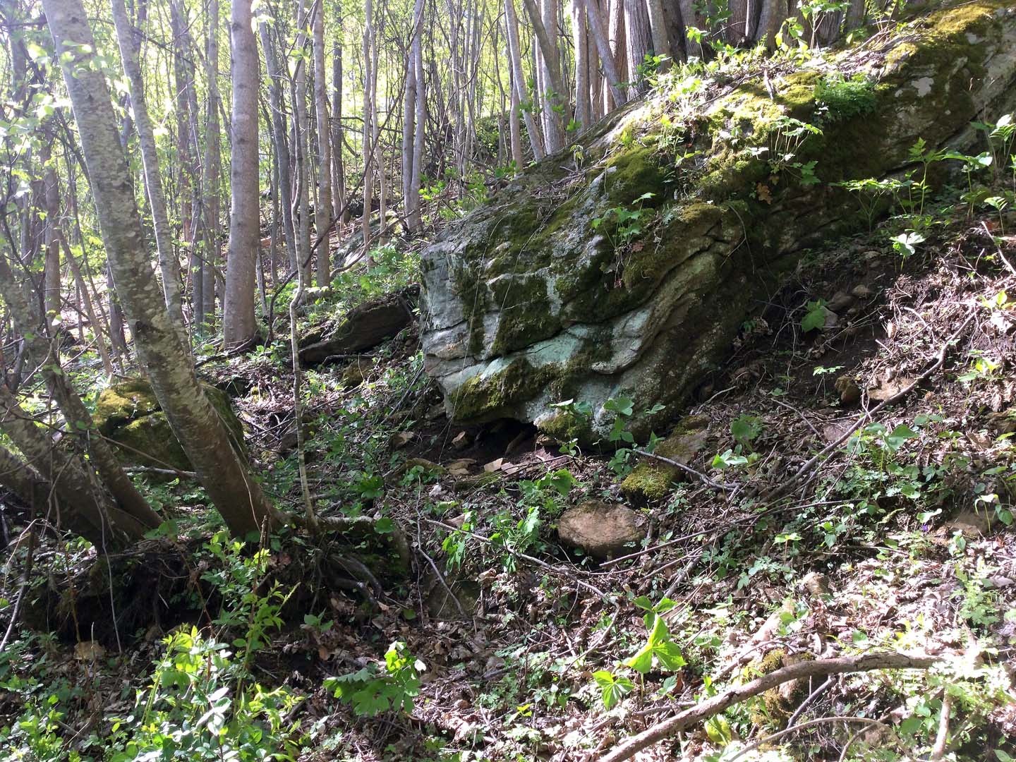 Boulderfield