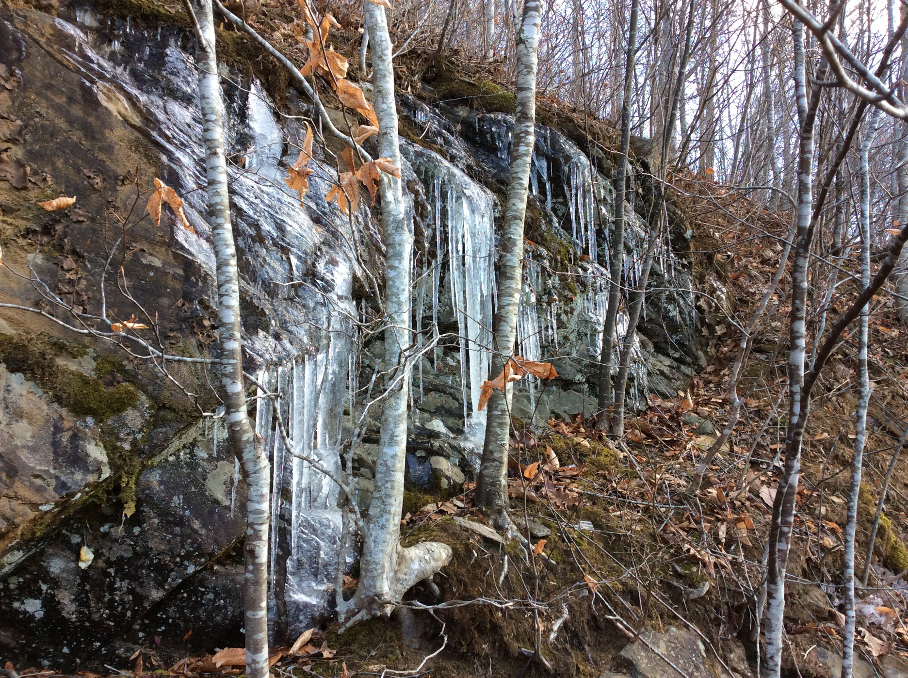 Belview Mountain