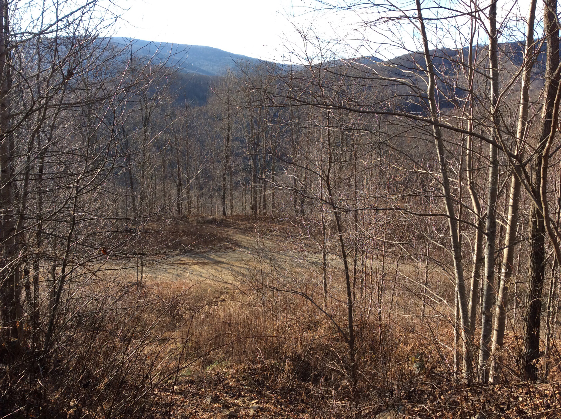Belview Mtn on site