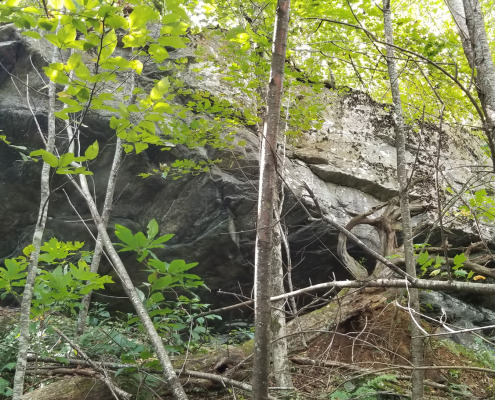 Cranberry Mtn Rock