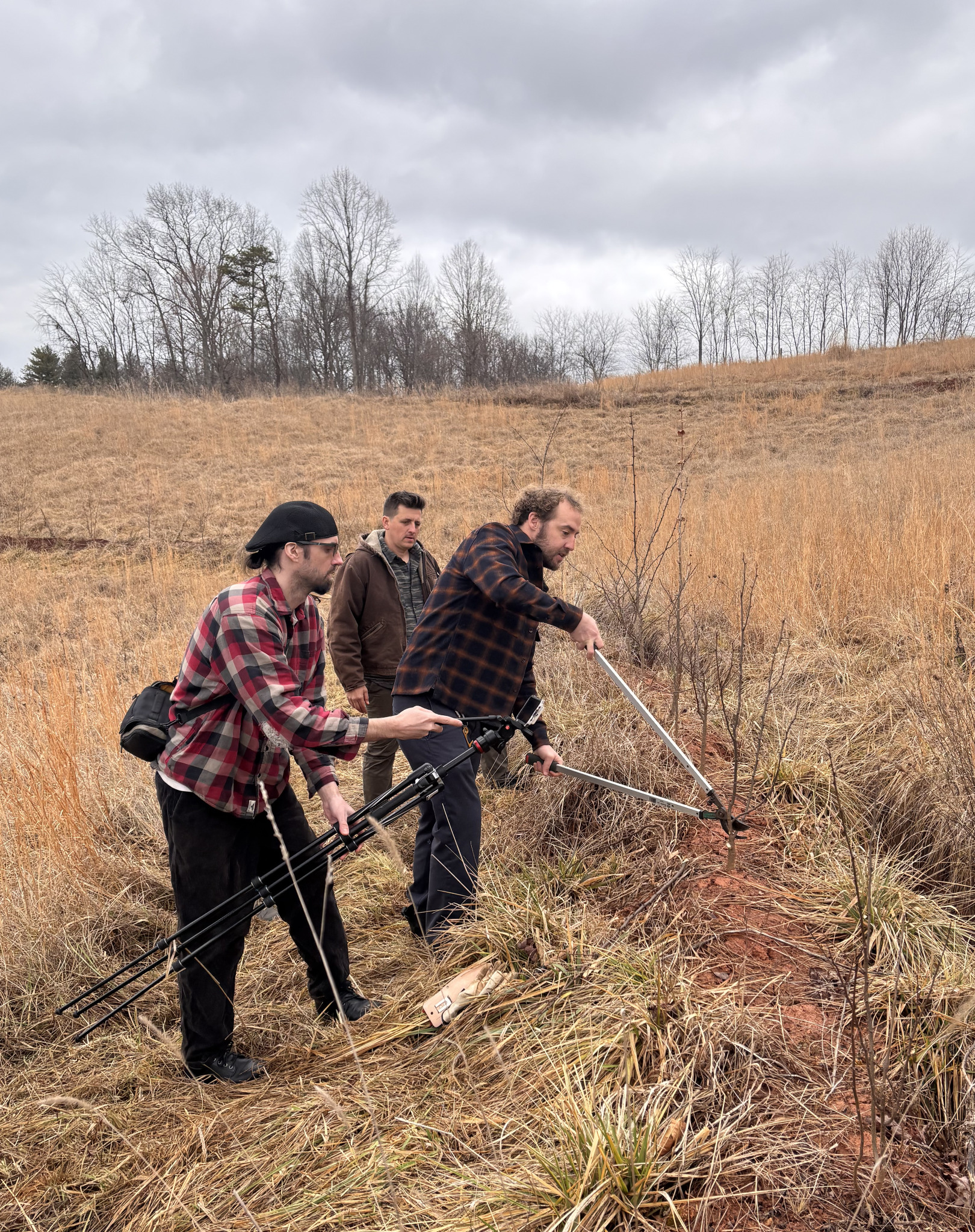 Agroforestry workshop demonstration cut