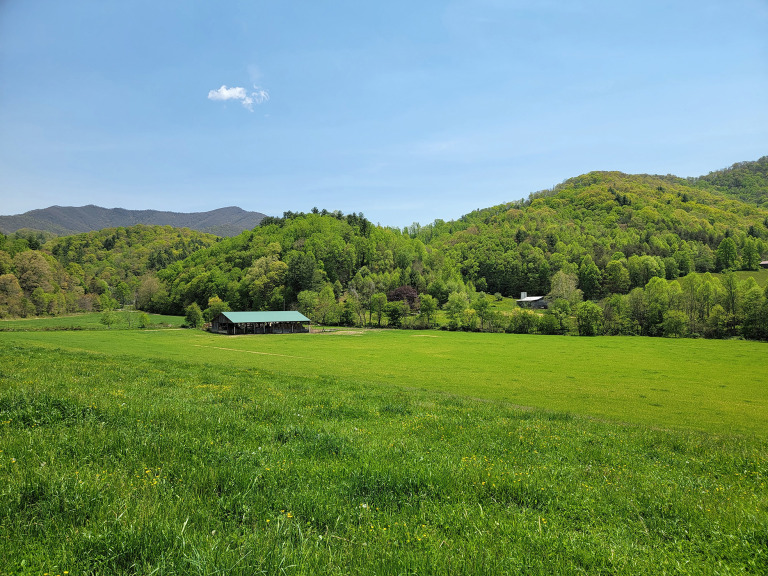 Buckskin Branch Farm