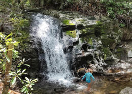 Child playing in shallow water at base of small waterfall