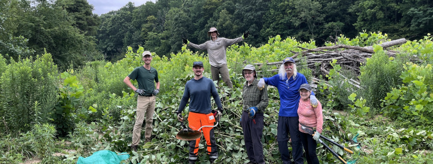A group of volunteers stands with cut brush surrounded by pasture and forest.