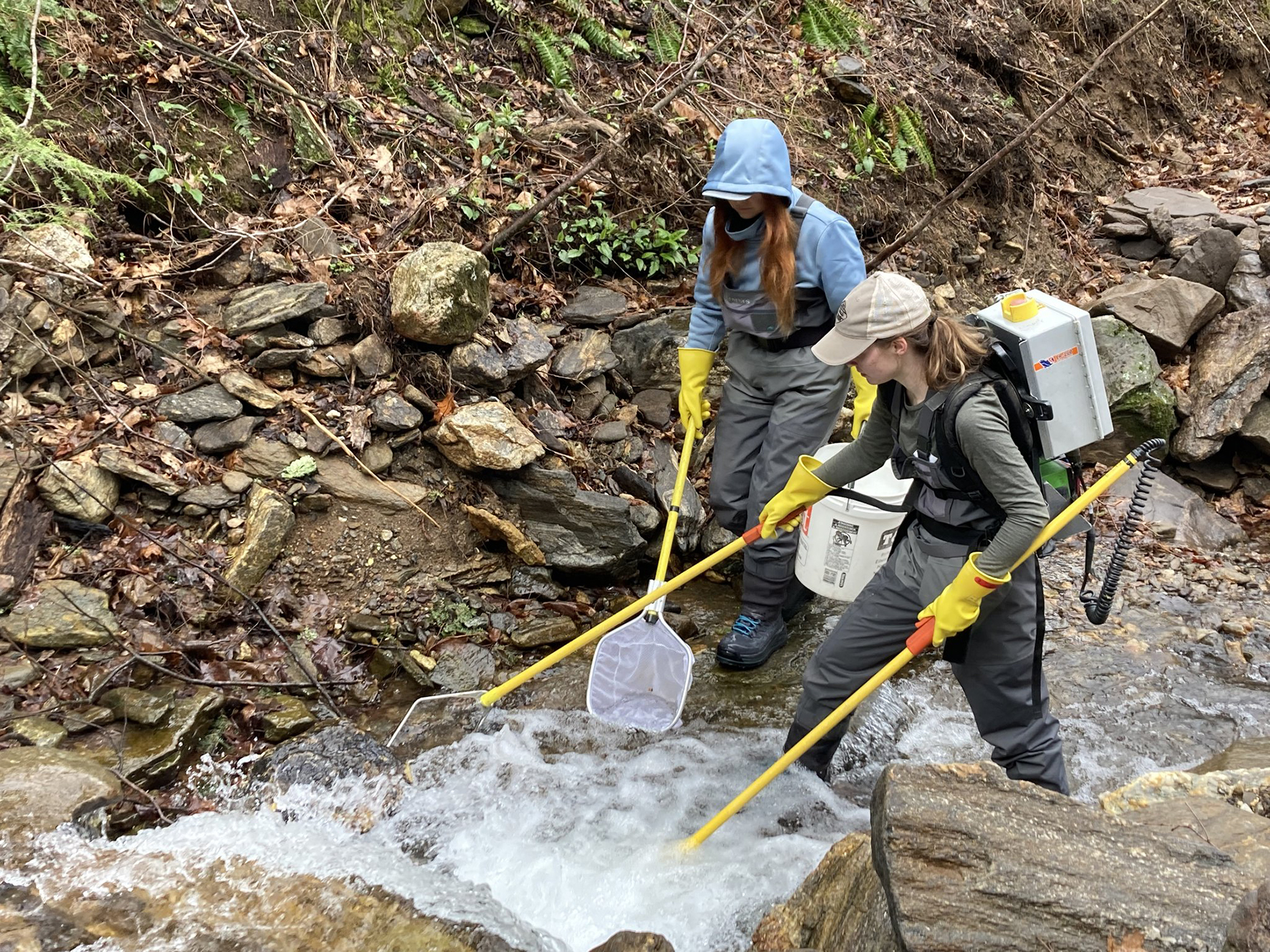 NCWRC trout survey