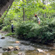 Bowditch Bottoms Volunteer work day