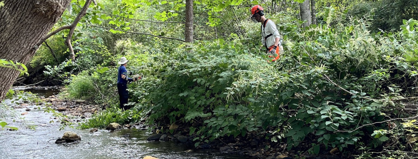 Bowditch Bottoms Volunteer work day