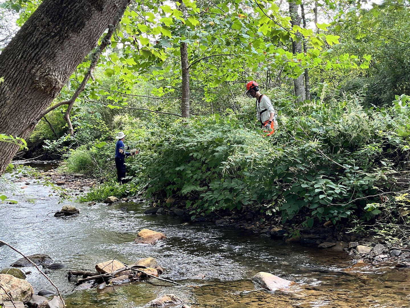Bowditch Bottoms Volunteer work day