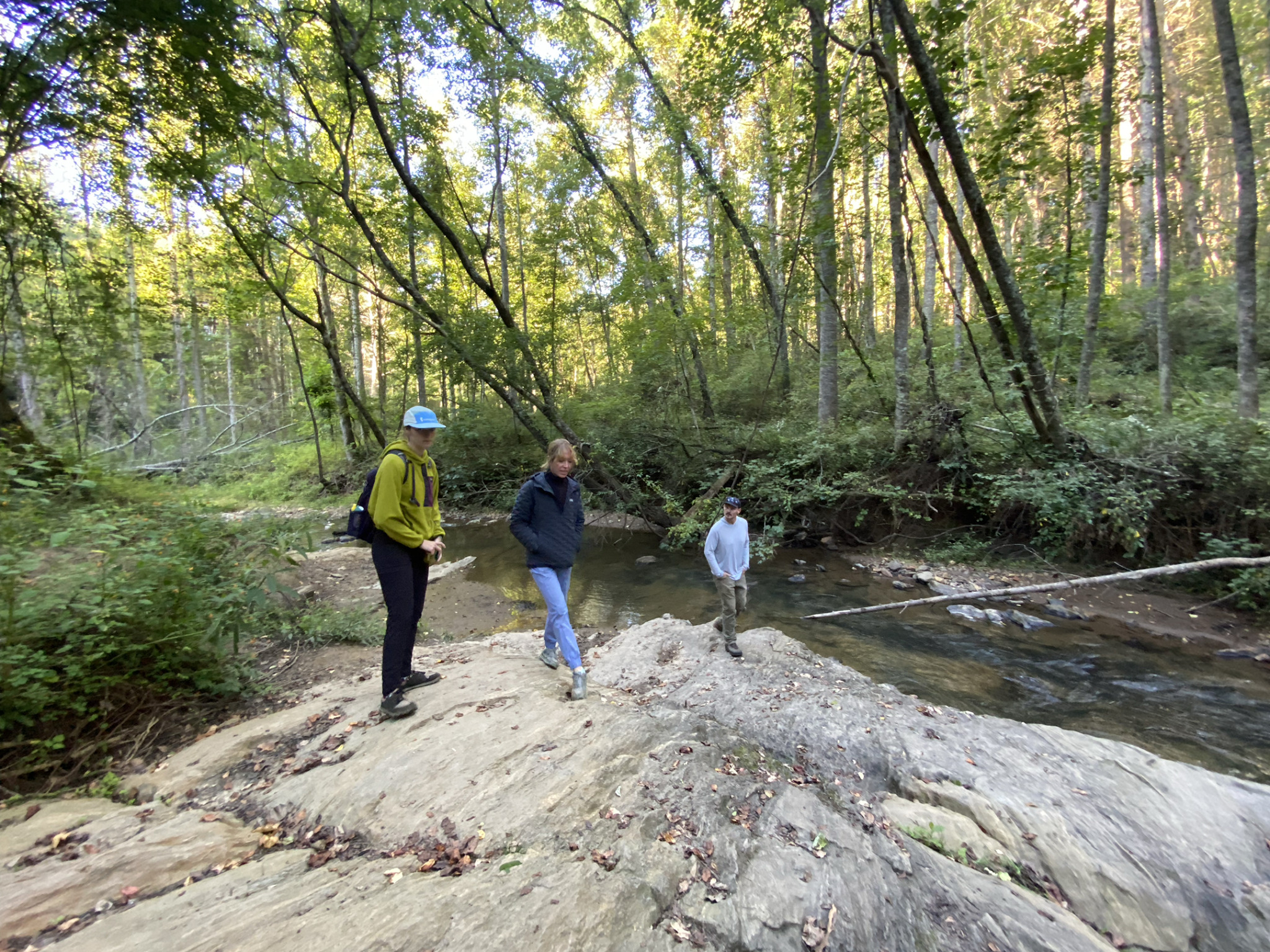 SAHC Purchases 191 Acres for new Bull Creek Preserve at Warren Wilson College