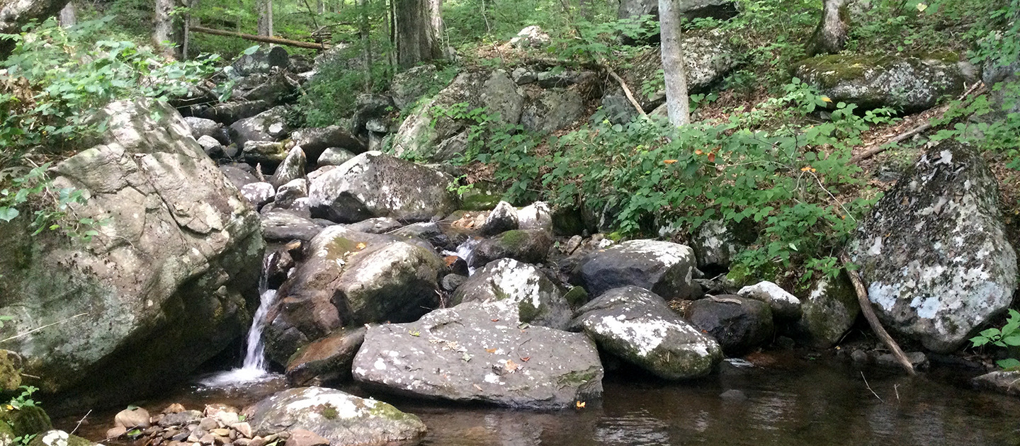 Stream photo with rocky boulders and still pool in foreground, green foliage on trees in background