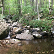 Stream photo with rocky boulders and still pool in foreground, green foliage on trees in background