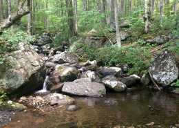 Stream photo with rocky boulders and still pool in foreground, green foliage on trees in background