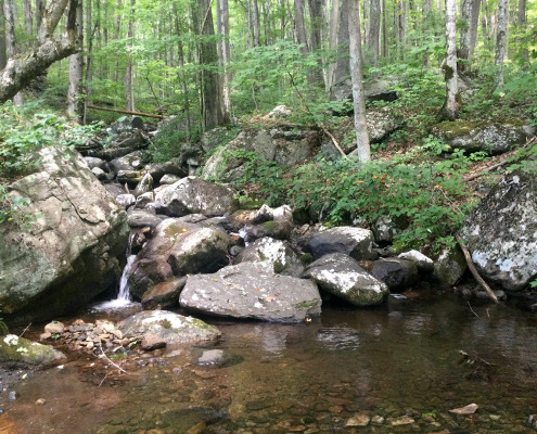 Stream photo with rocky boulders and still pool in foreground, green foliage on trees in background
