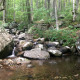 Stream photo with rocky boulders and still pool in foreground, green foliage on trees in background