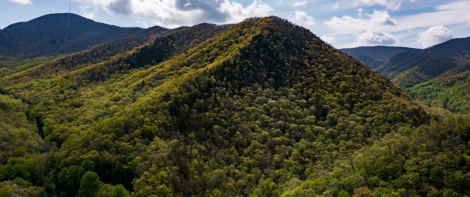 SAHC Transfers 1,060 Acres to NC Wildlife Resources Commission