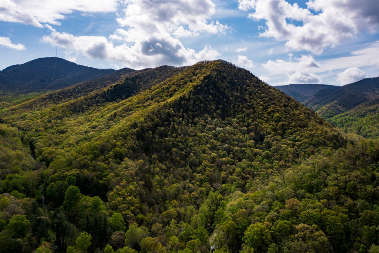 SAHC Transfers 1,060 Acres to NC Wildlife Resources Commission