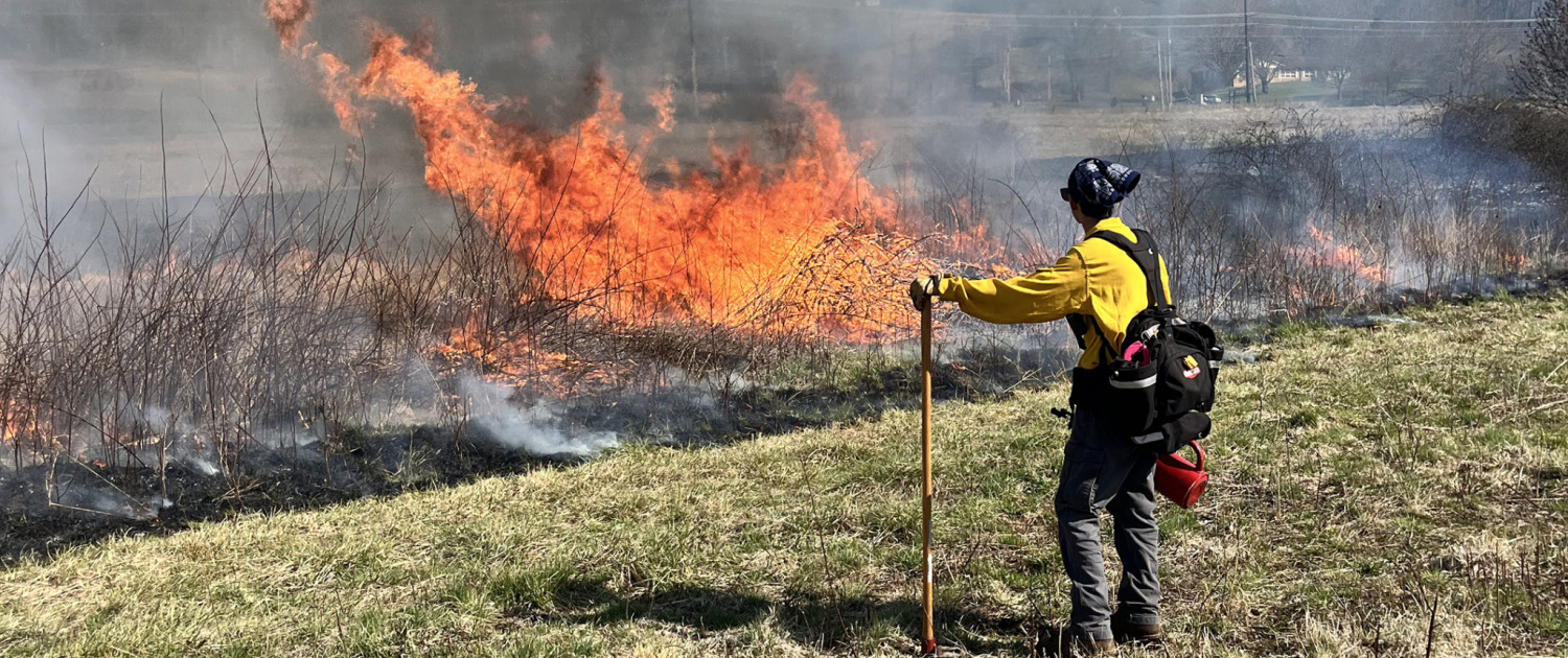 Land Management with Controlled Burns