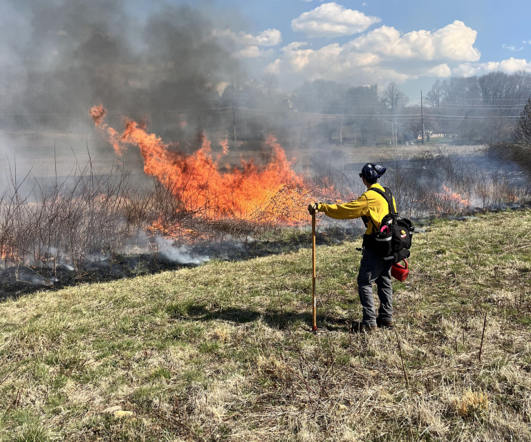 Land Management with Controlled Burns