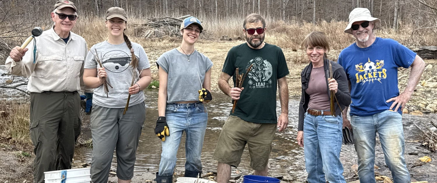 Bowditch Bottoms Livestake Planting
