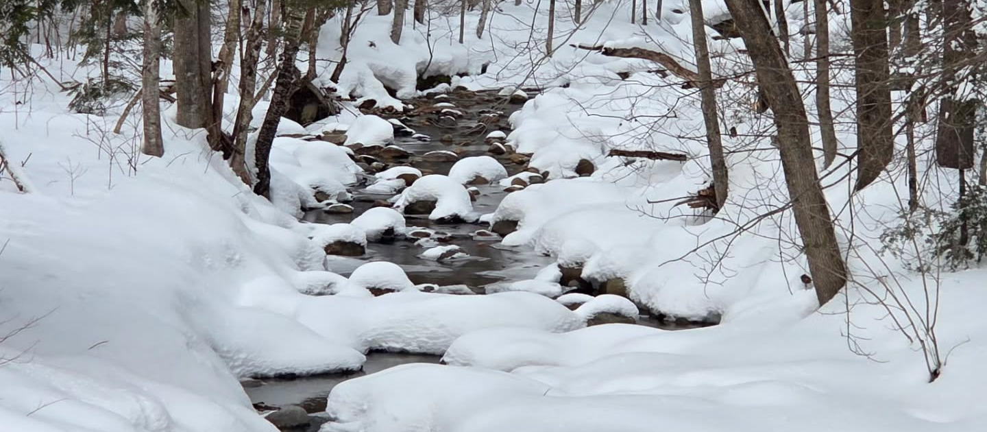 Snow Stream WHC