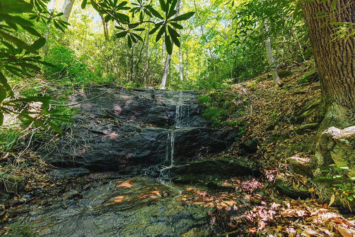 Waterfall on Camp Rockmont conservation easement, photo by Rachel B. Pressley