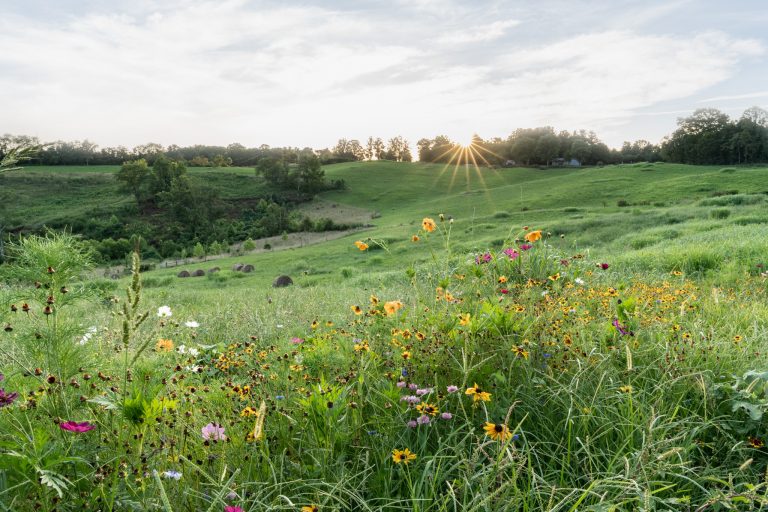 Vote Yes for Open Space Funding in Buncombe County