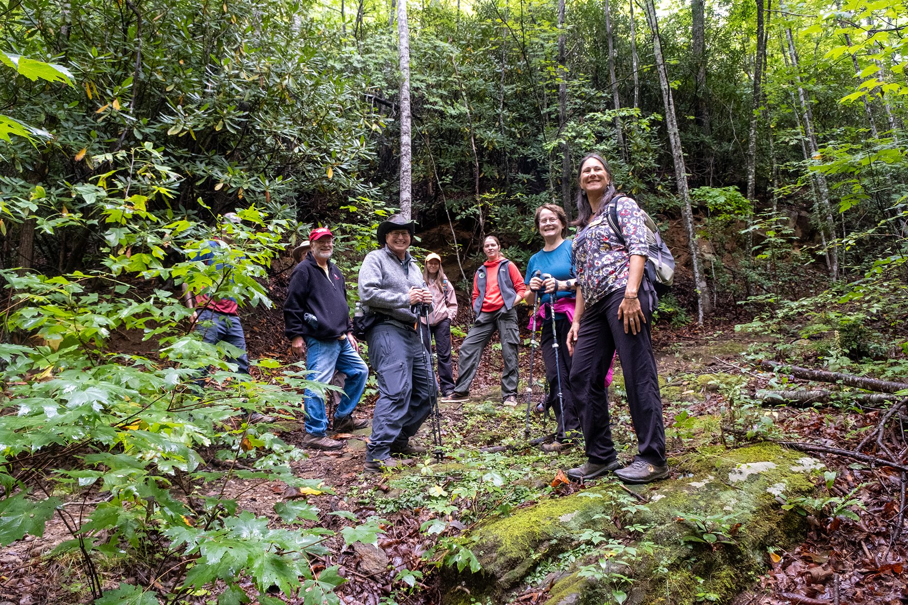 Pisgah View Ranch in foregound, Newmans forested tract in left background
