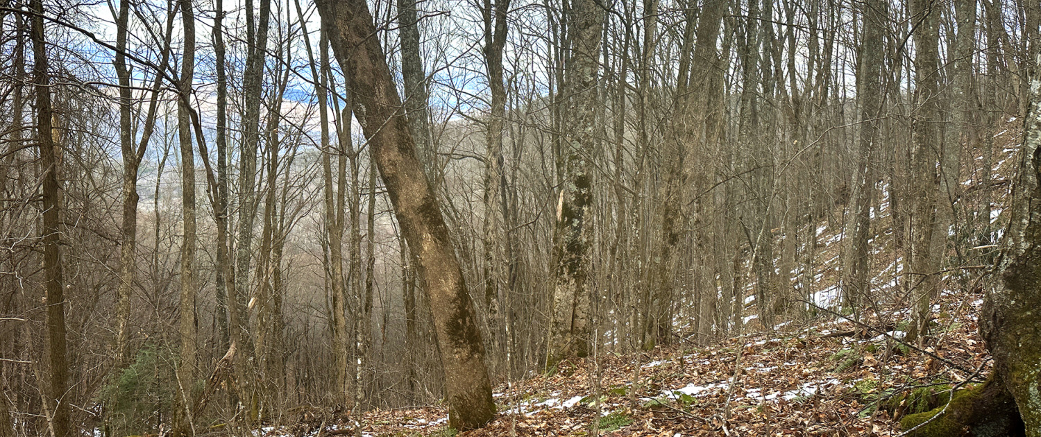 Stevens Creek – 9 acres adjoining Great Smoky Mountains National Park