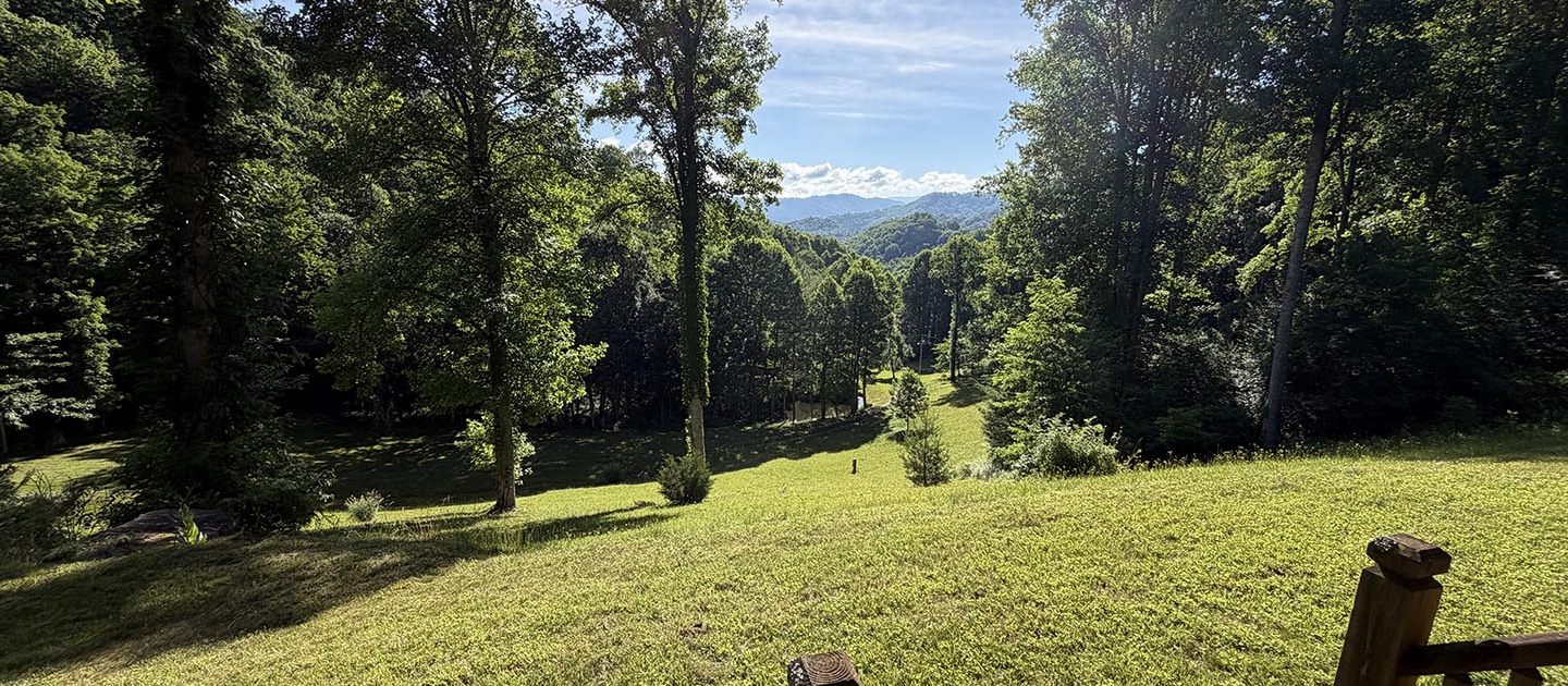 Smith Branch – 103 Acres Adjoining Roan Mountain State Park