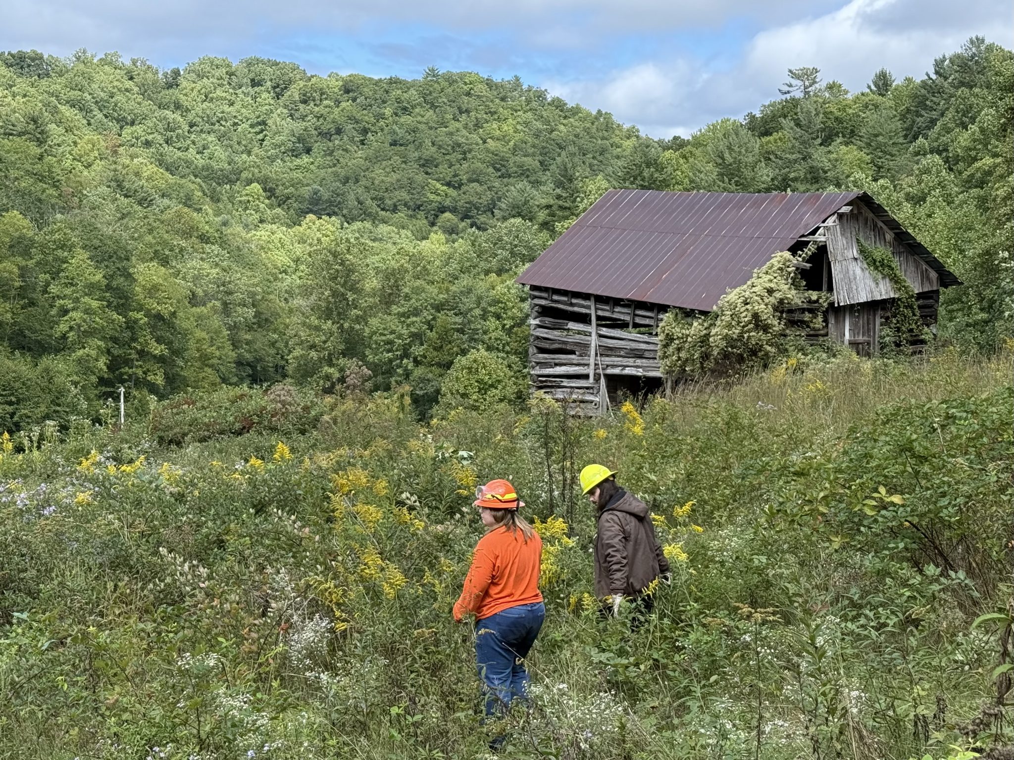 Two people walk in an open field with Smoky Mountains and historic barn in the background